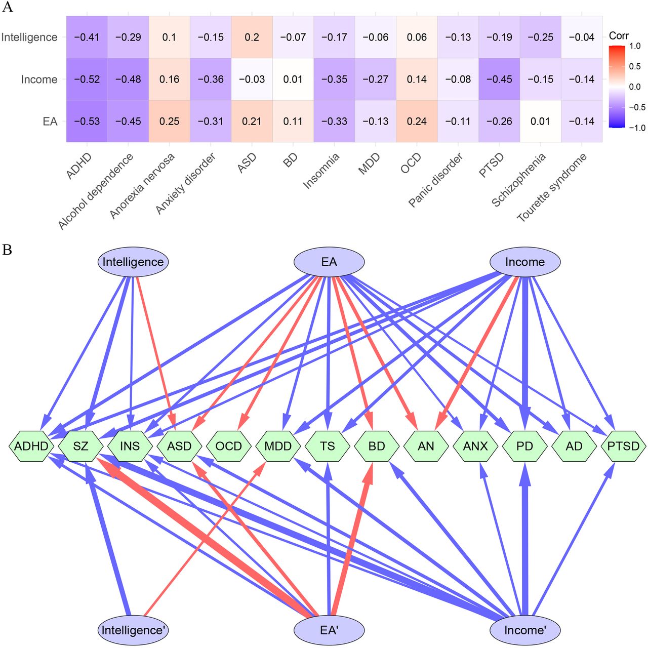 Exploring the influences of education, intelligence and on
